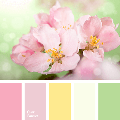wedding palette 4 wedding palette 4