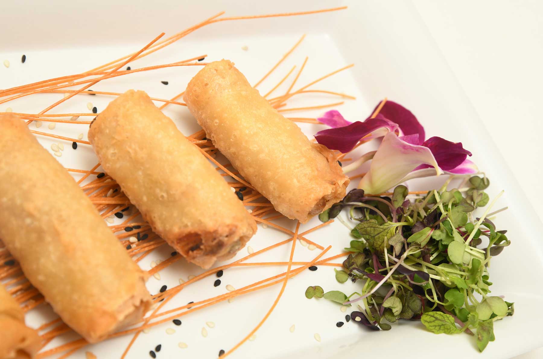 appetizer-spring-rolls Three golden-brown spring rolls on a white plate, garnished with microgreens, edible flowers, sesame seeds, and crispy noodle sticks—perfect for elevating your Wedding & Event Cuisine.